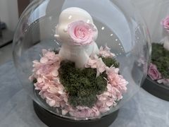 -ROSEONLY诺誓(广州K11店)