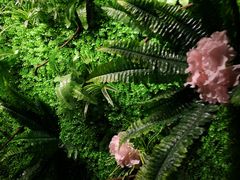 -绿茶餐厅(华联万柳店)