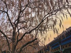 -张学良旧居陈列馆
