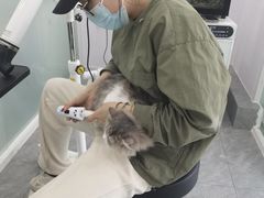 -爱洗澡的猫(望京店)