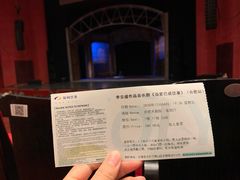 -合肥大剧院