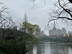 -重庆彩云湖湿地公园