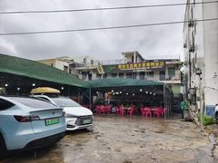 -霞姐屯昌枫木香草鸭店(海螺店)