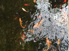 -北京植物园-展览温室