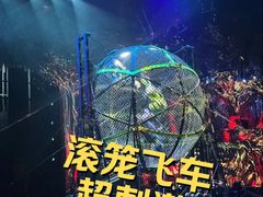 -广州长隆国际大马戏