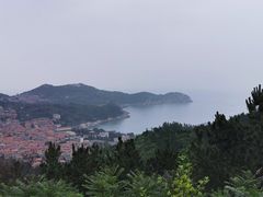 -青岛沙子口国家中心渔港