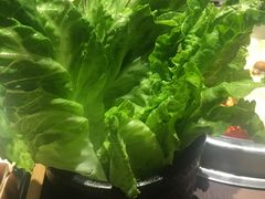 -快乐小羊·内蒙牛羊肉火锅(流花中心店)