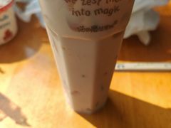 -猫的魔法密林(衣裳街店)