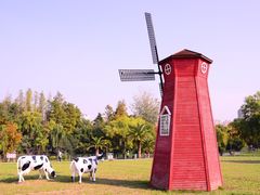 -大宁公园