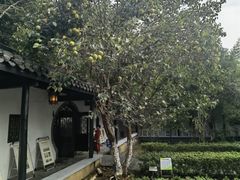 -三河古镇-孙立人故居