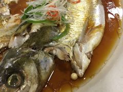 -旭宝高尔夫俱乐部