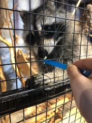 -酷嗒动物文化乐园(cutezoo西溪乐天城店)