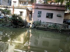-小洲村