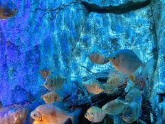 -沈阳海洋探索中心