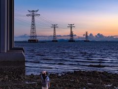 -宝安西湾红树林湿地公园