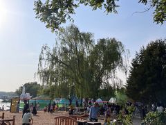 -大兴滨河森林公园