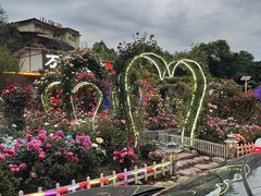 -玫瑰庄园·自助烧烤·烤全羊·团建拓展(龙泉山店)