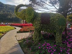 -广州市石门国家森林公园
