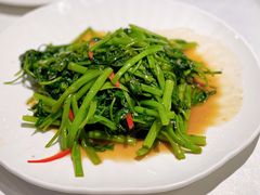 空心菜-新加坡海鲜(国贸商城店)