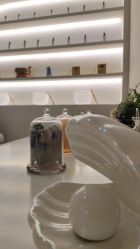 -VE专注问题肌·赛诺龙&科学美肤中心