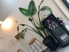 -常识咖啡common sense(春熙路店)