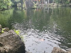 -海口火山口国家地质公园