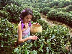 -龙坞茶村