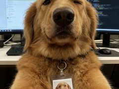 -非烤勿扰韩料自助烤肉(松山湖万科店)