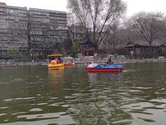 -莲湖公园