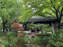 -上海醉白池公园