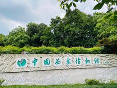 -中国茶叶博物馆(双峰馆区)