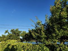 -呈贡滇池生态湿地公园