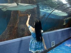 -合肥海洋世界