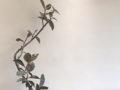 -福驎咖啡FURNING CAFE(固戍华丰店)