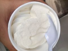 -洪馨椰子