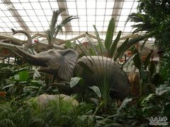 P1000596-绿色时代大酒店