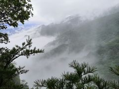 -牛背梁国家森林公园
