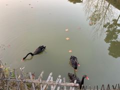 -扬州天乐湖嬉乐谷