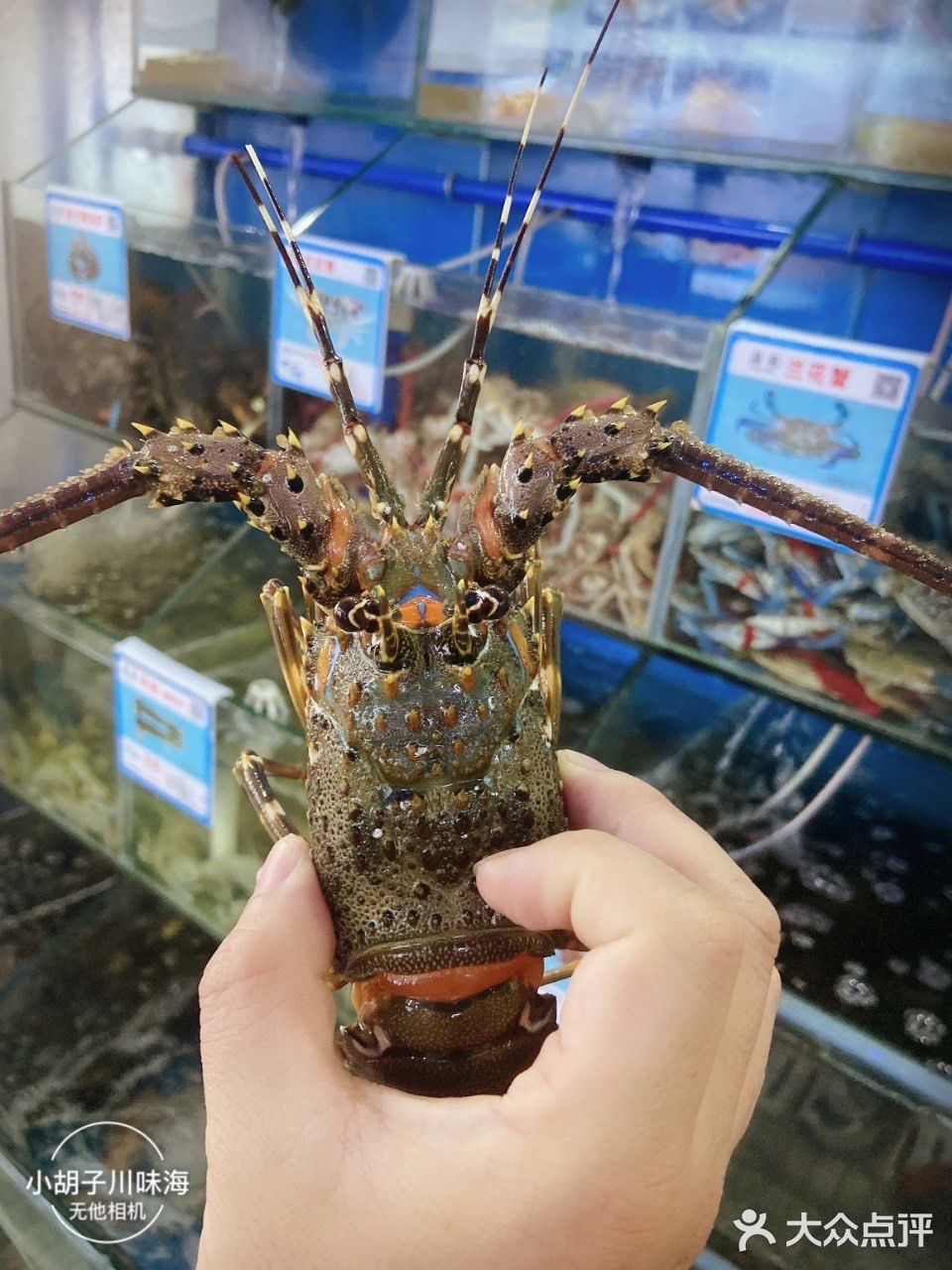 三亚海鲜必吃榜/🦐一市场海鲜之最💥