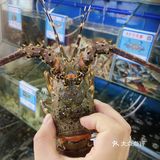 三亚海鲜必吃榜/🦐一市场海鲜之最💥