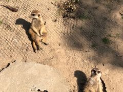 -上海野生动物园
