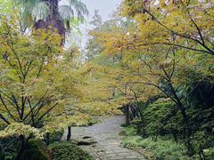 -南山植物园