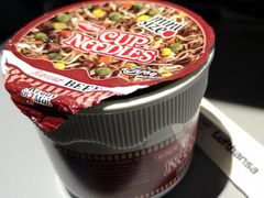 -德国汉莎航空公司