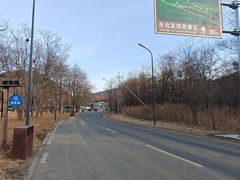 -东北亚滑雪场