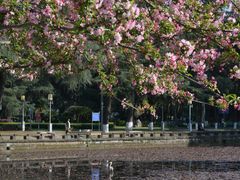 -四川大学(望江校区)