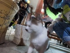 -鱼乐岛餐厅·户外花园主题餐厅