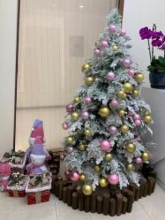 -小珂丽格医疗美容