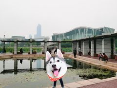 -月湖风景区
