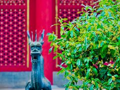 -颐和园
