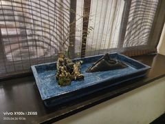 -九福楼大酒店